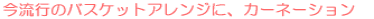 s̃oXPbgAWɁAJ[l[V