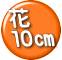 花 10p