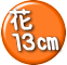 花 13p