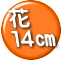 花 14p