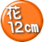  PQp